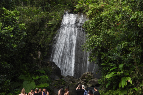 From San Juan: Rainforest Walk, Nature Swim & Luquillo Beach