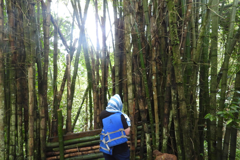 From San Juan: Rainforest Walk, Nature Swim & Luquillo Beach