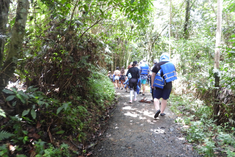 From San Juan: Rainforest Walk, Nature Swim & Luquillo Beach