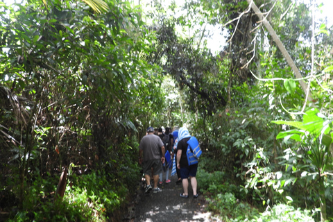 From San Juan: Rainforest Walk, Nature Swim & Luquillo Beach