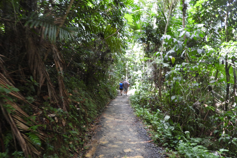 From San Juan: Rainforest Walk, Nature Swim & Luquillo Beach