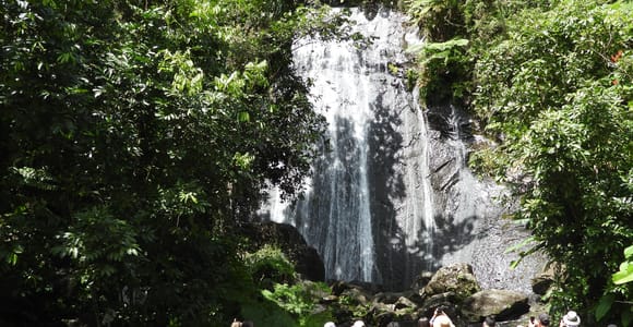 From San Juan: Rainforest Walk, Nature Swim & Luquillo Beach