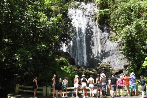 From San Juan: Rainforest Walk, Nature Swim & Luquillo Beach