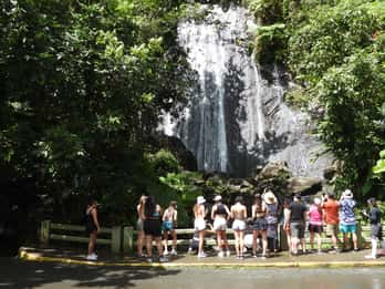 Von San Juan aus: Regenwaldspaziergang, Naturschwimmen und Luquillo Beach