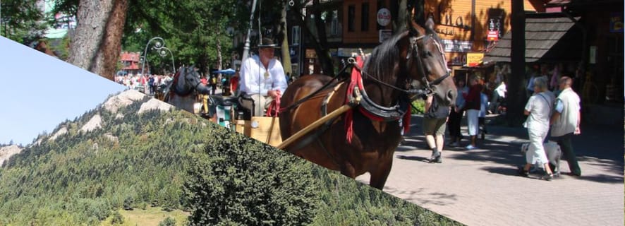 Elvejuvene Dunajec og Zakopane: Heldagstur fra Kraków