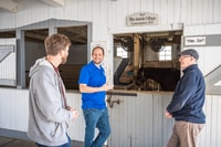 Van Philadelphia, Lancaster County Amish Community Tour - Housity