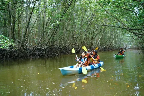 Ao Nang: Kayak Tour in Krabi Mangrove Forest with Lunch