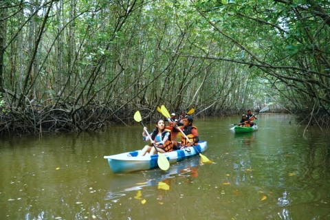 Ao Nang : Excursion en kayak dans la forêt de mangroves de Krabi avec déjeuner