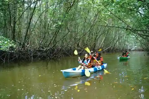 Ao Nang : Excursion en kayak dans la forêt de mangroves de Krabi avec déjeuner