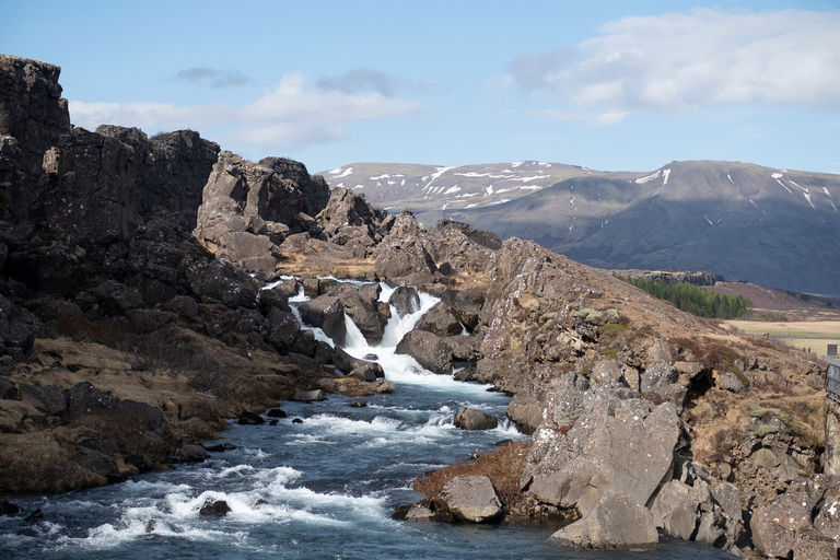 Reykjavik: gita di un giorno al Golden Circle, Friðheimar e Sky Lagoon