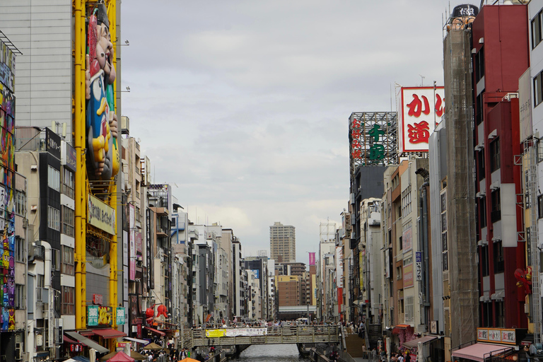 Kyoto et Nara : visite guidée avec guide anglophone