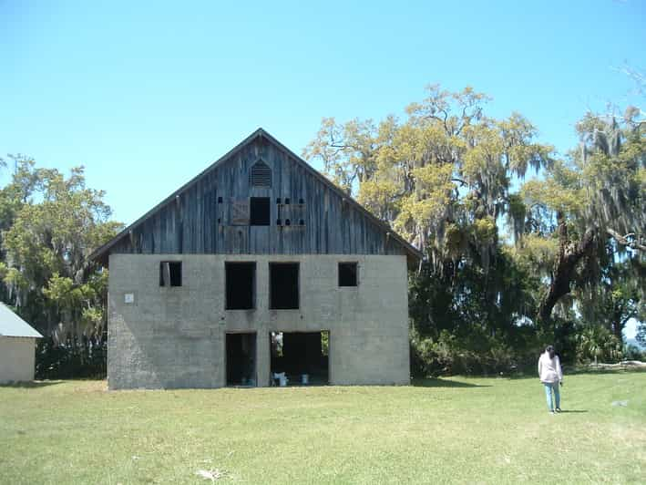 sapelo island tours free day