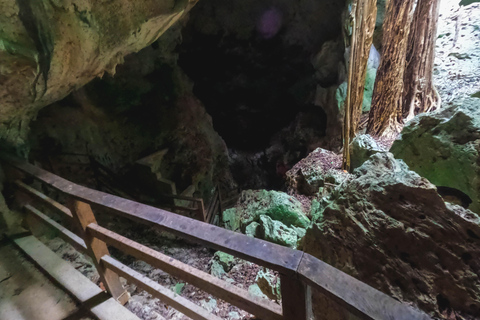 From Falmouth: Horseback Ride n Swim with Green Grotto Caves From Falmouth Cruise Port