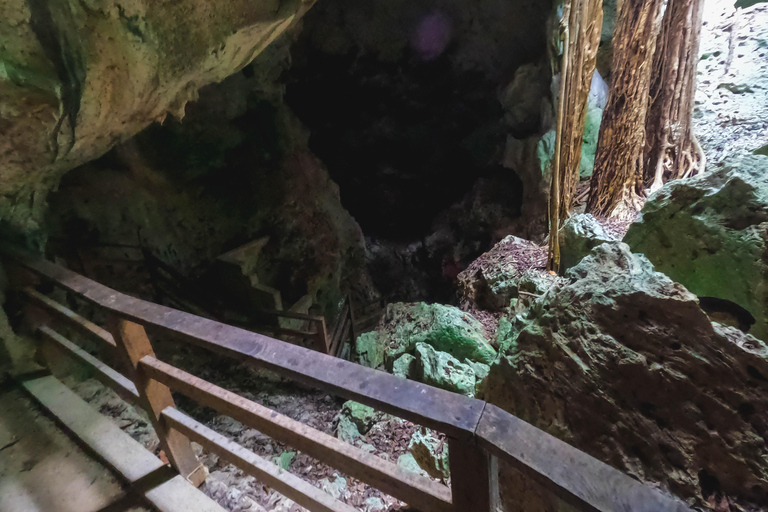 From Falmouth: Horseback Ride n Swim with Green Grotto Caves From Falmouth Cruise Port
