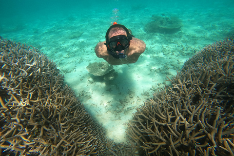 Von Blue Bay aus: Ile aux Cerfs Speedboat-Ausflug mit BBQ