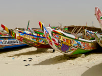 Nouakchott, bezoek aan de vissershaven en zijn vismarkt - Housity