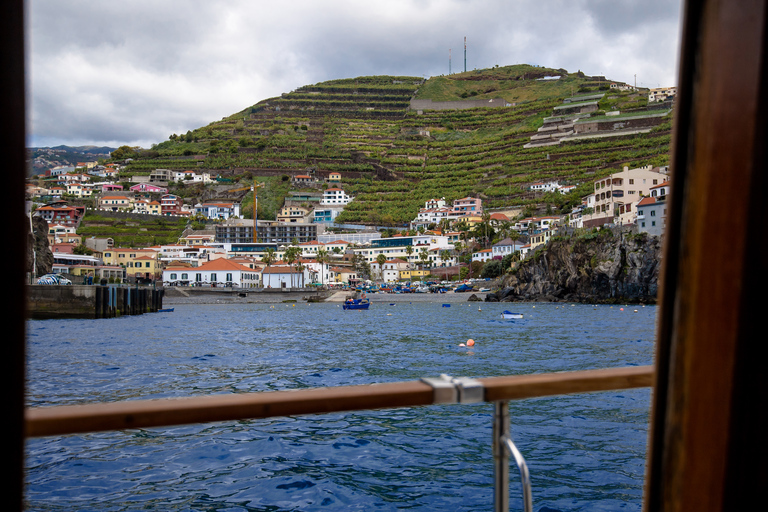 Ab Funchal: Segeltour durch die westlichen Buchten mit Mittagessen