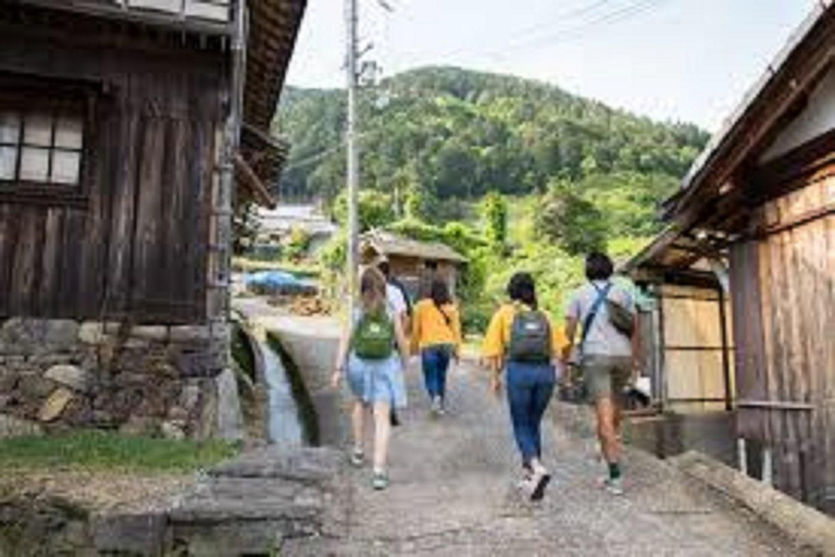 Wazuka: Tea Picking Experience with Matcha Tea Tasting