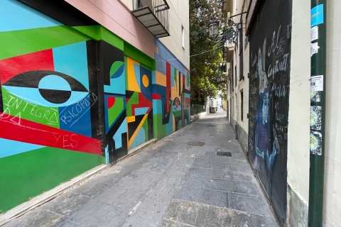 Valence: visite à vélo de l'art de la rueVisite privée de ValenciaL Street Art sur e-Scooter