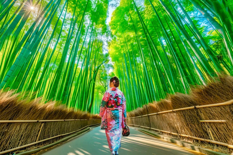 Kyoto : visite privée pour toute la famille avec chauffeur-guide