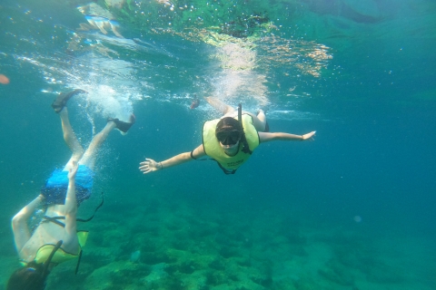 Fort Lauderdale: Guided Snorkeling Reef Tour and Lesson Shared Guided Snorkel Tour