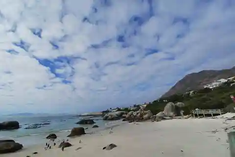Da Cidade do Cabo: Table Mountain e Cape of Good Hope Tour