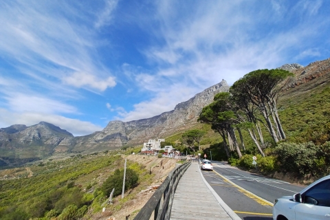 Desde Ciudad del Cabo: tour de la Montaña de la Mesa y el Cabo de Buena Esperanza
