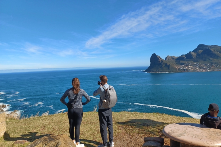 Desde Ciudad del Cabo: tour de la Montaña de la Mesa y el Cabo de Buena Esperanza