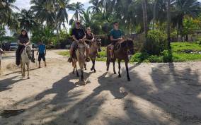 Acapulco: Gentle Beach Horse Riding Tour on Barra Vieja