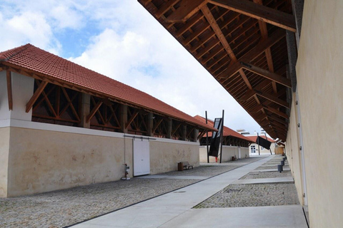 Matosinhos (Porto): “From the Sea to your Plate” Food Tour Matosinhos: “From the sea to your plate” Food Tour