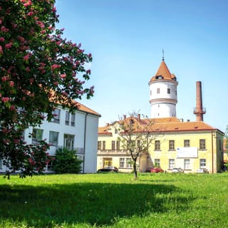 Prague: Psychiatric Hospital and Abandoned Cemetery Tour