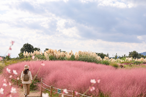 Jeju: Southwest & West Coast Highlights Full Day Bus Tour