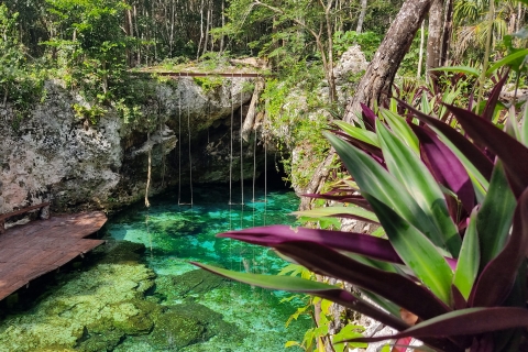 Tulum Guided Trip, Cenote Swim, Lunch & Playa del Carmen Bilingual Tour in Spanish and English