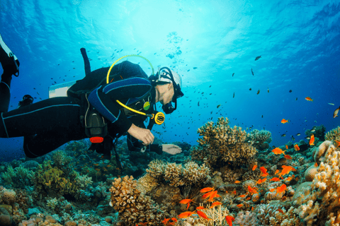 Dubái: curso avanzado PADI de aguas abiertas de 2 días en Fujairah