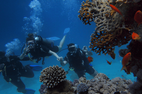 Dubái: curso avanzado PADI de aguas abiertas de 2 días en Fujairah