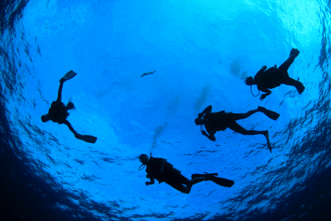 Dubái: curso avanzado PADI de aguas abiertas de 2 días en Fujairah