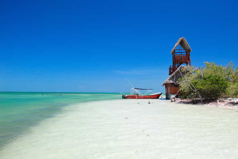 From Riviera Maya Holbox FullDay Tour with Lunch GetYourGuide