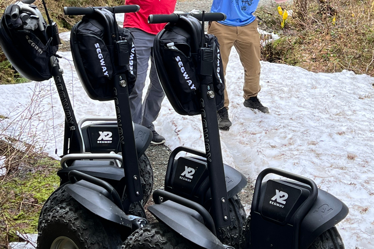 Juneau: giro nel deserto alpino