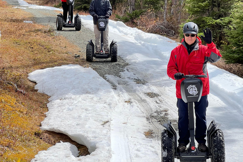 Juneau: giro nel deserto alpino