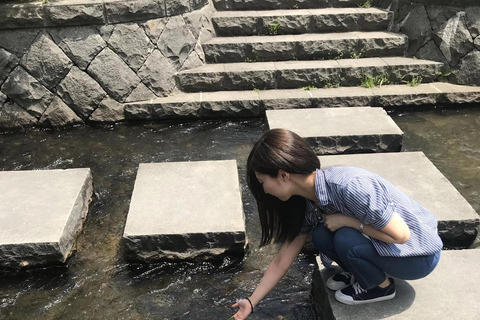 Sapporo: City Center History and Art Walking Tour