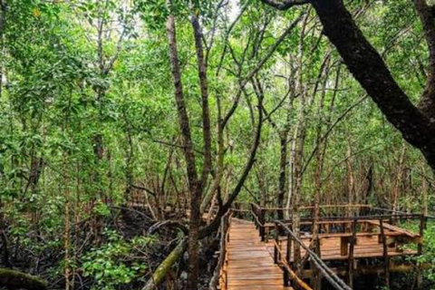Zanzibar: Jozani Forest, Salaam Cave & Mtende Beach”