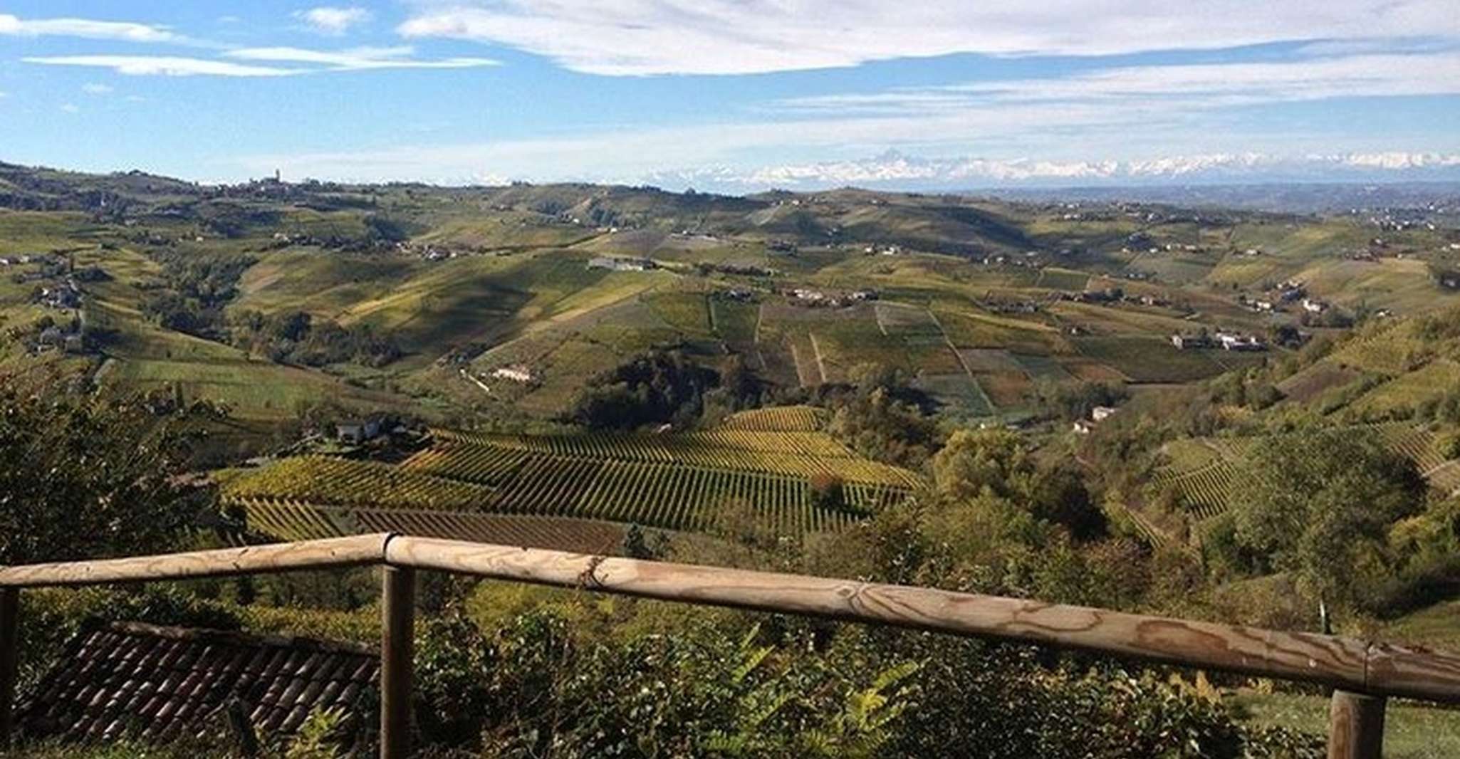 Langhe & Monferrato, Tour de viñedos y cata de vinos - Hizvo