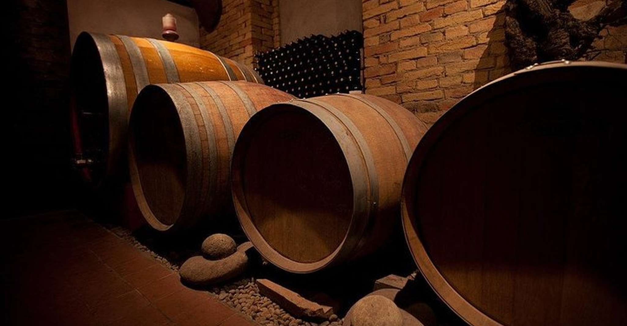 Langhe & Monferrato, Vineyard Tour and Wine Tasting - Housity