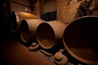 Langhe & Monferrato, Vineyard Tour and Wine Tasting - Housity