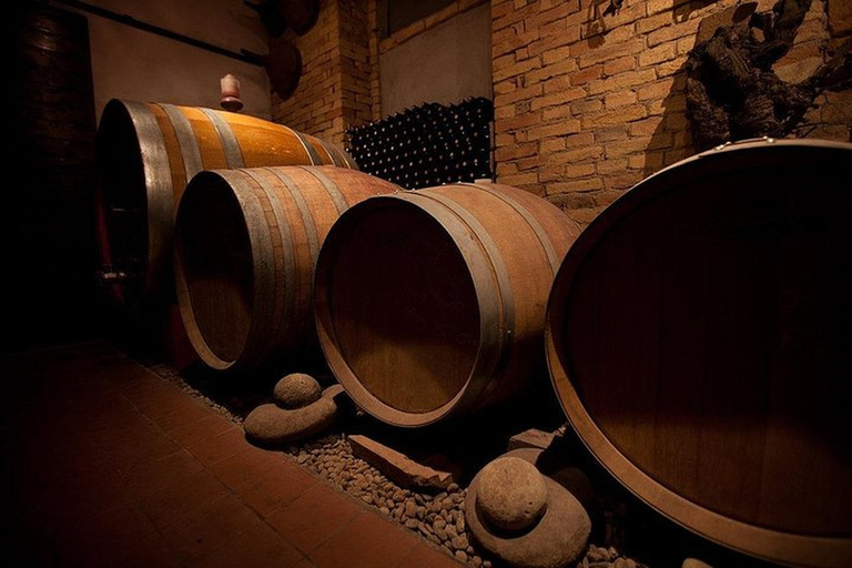 Langhe & Monferrato: Vineyard Tour and Wine Tasting