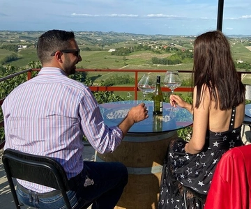 Langhe & Monferrato: wijngaardtour en wijnproeverij