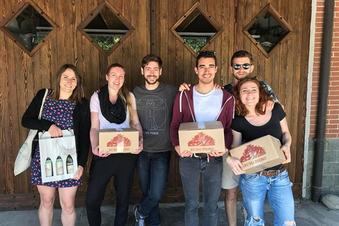 Langhe & Monferrato: Vineyard Tour and Wine Tasting