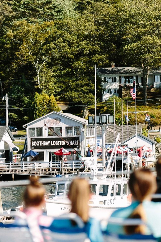 Boothbay Harbor Cruise: Lighthouses, Lobster Haul, and Seals