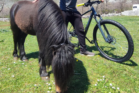 Rural biking & wine tasting tour