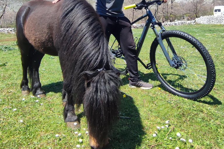 Rural biking & wine tasting tour